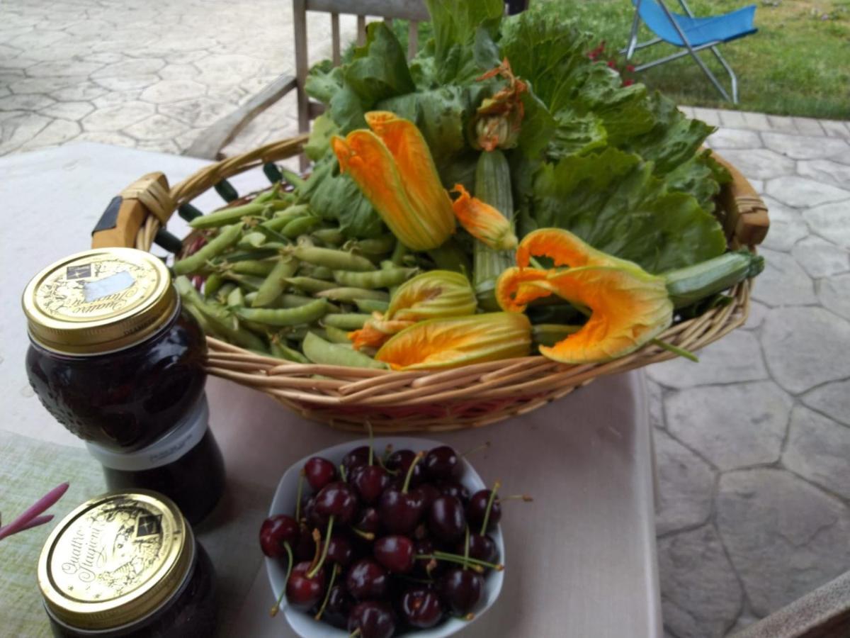 Agriturismo Allo Scoglio - Azienda Agricola Τεργέστη Εξωτερικό φωτογραφία