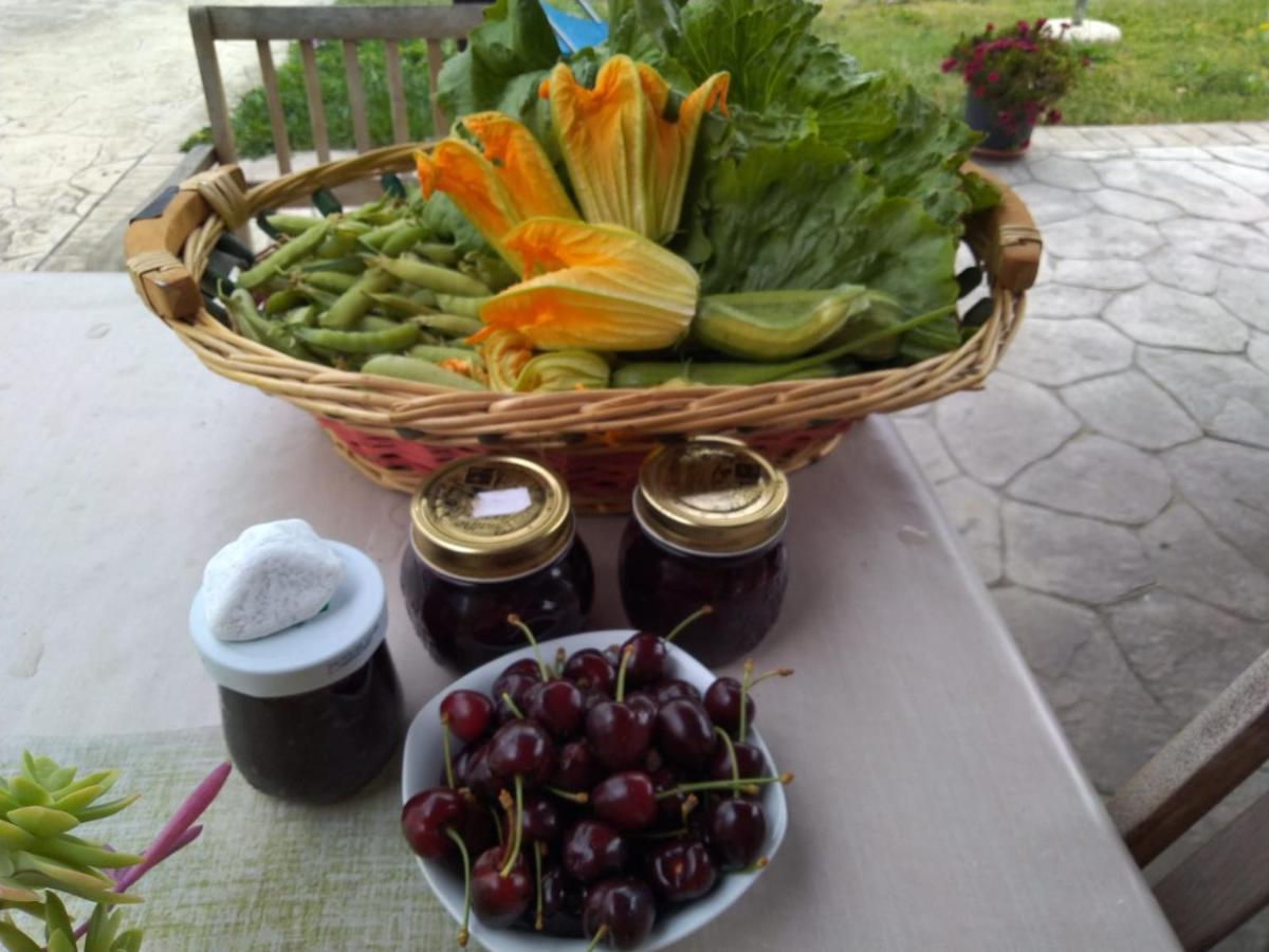 Agriturismo Allo Scoglio - Azienda Agricola Τεργέστη Εξωτερικό φωτογραφία