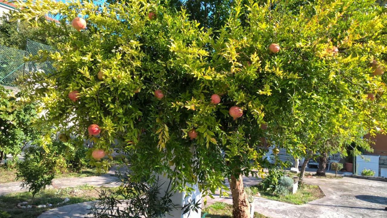 Agriturismo Allo Scoglio - Azienda Agricola Τεργέστη Εξωτερικό φωτογραφία